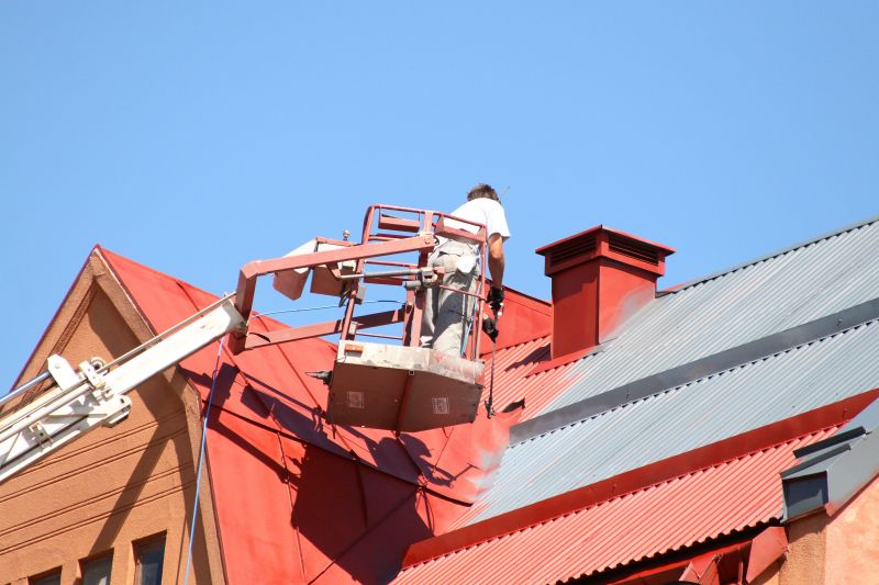 Roof Painting Service detail