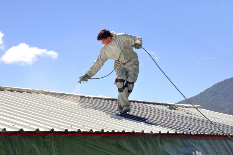 Roof Painting Service detail