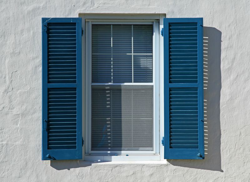Vinyl Shutters Painting