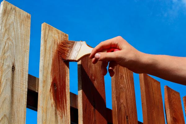 Fence Staining in Albany
