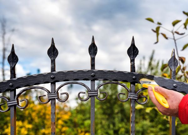 Wrought Iron Painting in Albany