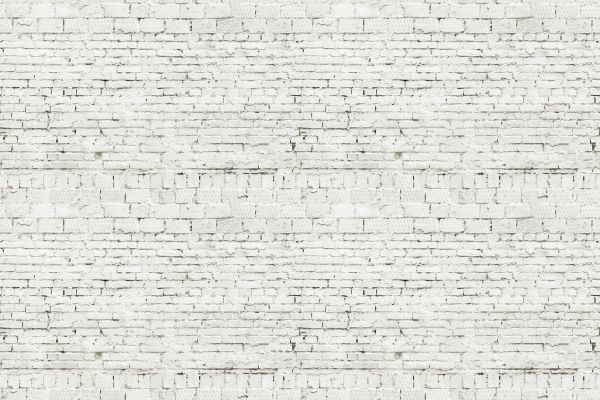 Brick Lime Painting in Albany