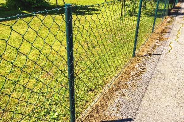 Chain Link Fence Painting in Albany