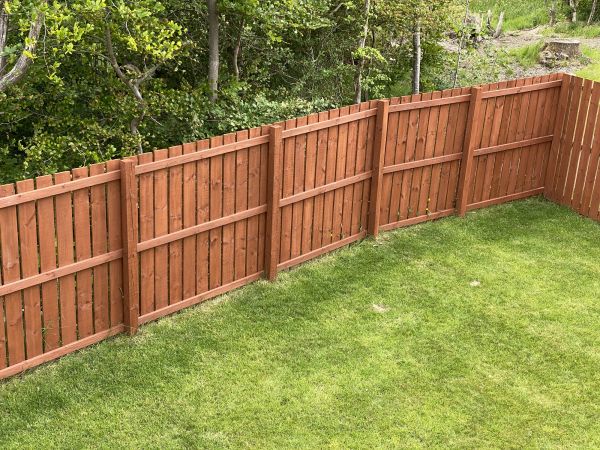 Cedar Fence Painting in Albany