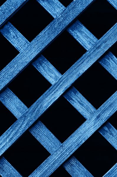 Lattice Painting in Albany