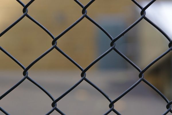 Wire Fence Painting in Albany