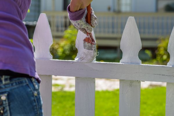 Picket Fence Painting in Albany