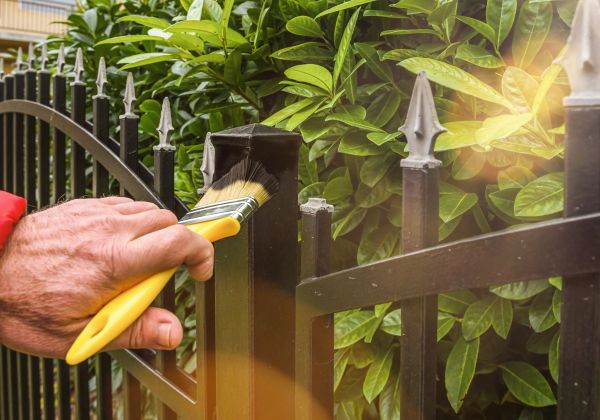 Galvanized Fence Painting in Albany
