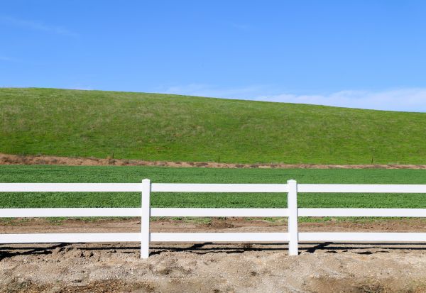 Livestock Fence Painting in Albany