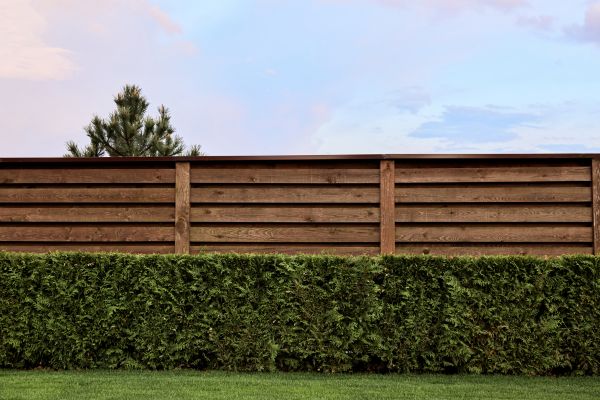 Pine Fence Staining in Albany