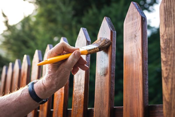 Wood Fence Staining in Albany